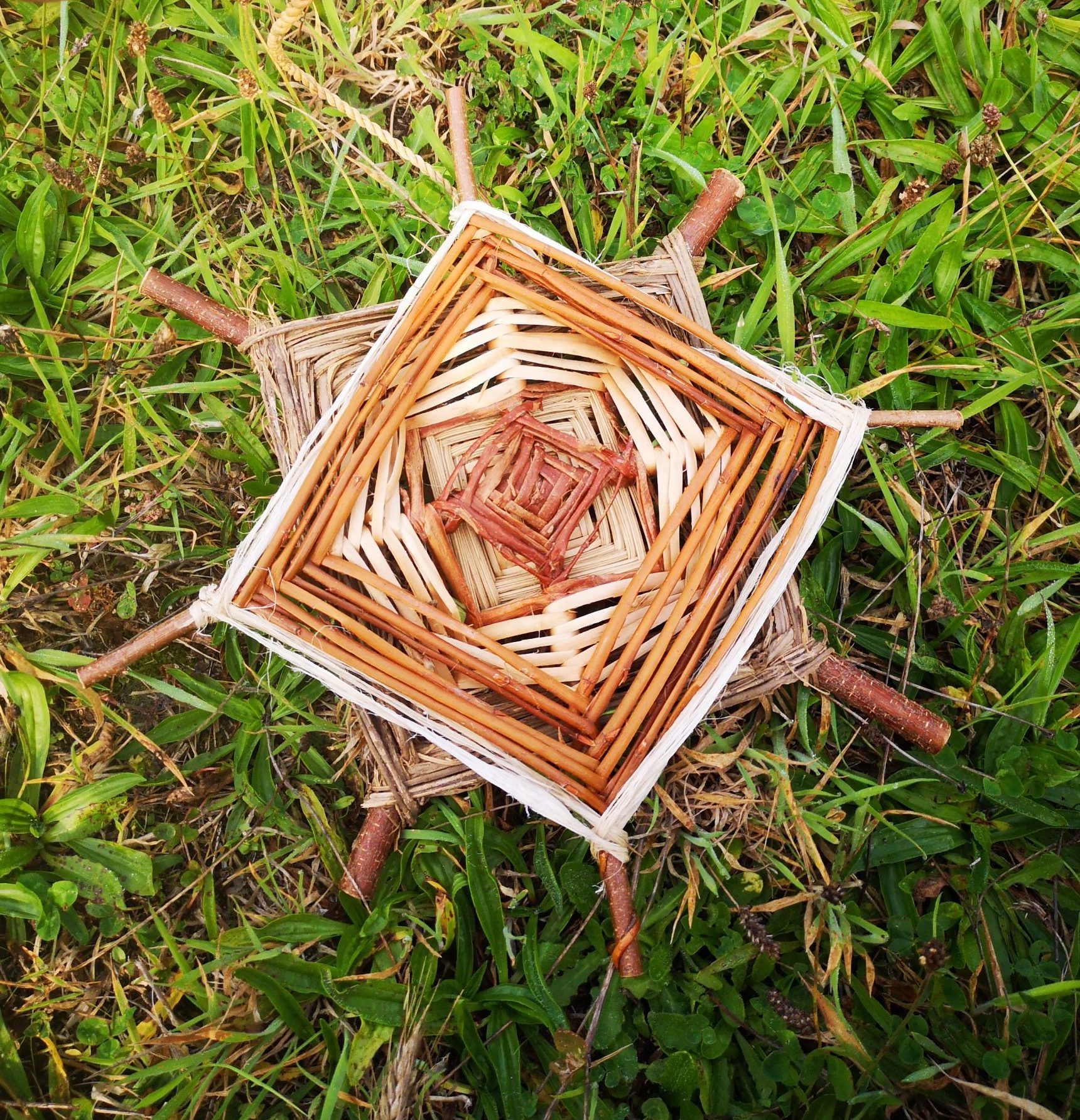 Corbeille en massette